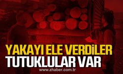 Tomruk hırsızları yakayı ele verdi! Tutuklular var!