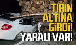 Tomruk yüklü TIR'ın altına girdi! Yaralı var!