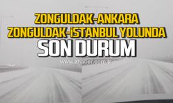 Zonguldak- Ankara ve Zonguldak-İstanbul yolunda son durum!