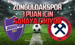 Zonguldakspor, 3 puan için sahaya çıkıyor