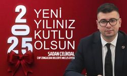 Şadan Çelikdal'dan 2025 yıl başı mesajı