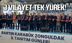 Üç vilayet, tek yürek