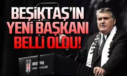 Beşiktaş Kulübünün yeni başkanı Serdar Adalı