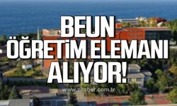 Zonguldak Bülent Ecevit Üniversitesi Öğretim Elemanı alıyor!