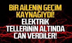 Dilaver'de acı olay! Ailenin geçim kaynağı elektrik akımına kapıldı!