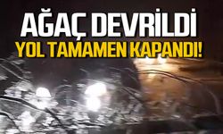 Ağaç devrildi! Karabük Bartın yolu kapandı!