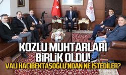 Kozlu muhtarları birlik oldu! Vali Hacıbektaşoğlu'ndan ne istediler?