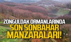 Zonguldak ormanlarında sonbahardan kışa geçiş manzaraları