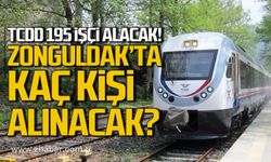 TCDD 195 işçi alacak! Zonguldak'ta kaç kişi alınacak?