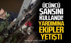 Üçüncü şansını kullandı! Yardımına itfaiye ekipleri yetişti