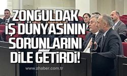 Demir, Ekonomi ve İş Dünyası Toplantısı'nda Zonguldak İş Dünyasını temsil etti