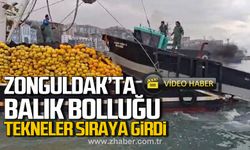 Zonguldak’ta balık bolluğu! Tekneler sıraya girdi!