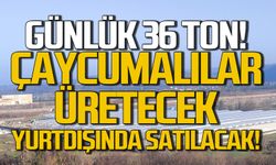 Çaycuma'da büyük adım atıldı! Yurtdışında satılacak!