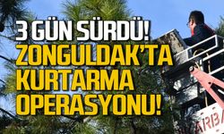 Zonguldak'ta 3 gün süren kedi kurtarma operasyonu!