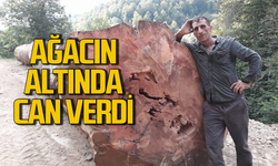 Ağacın altında can verdi! Yaşananları arkadaşı anlattı