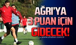 Zonguldakspor, Ağrı’ya 3 puan için gidecek!