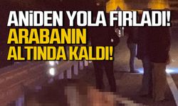 Bartın'da kaza! Aniden yola fırladı! Arabanın altında kaldı!