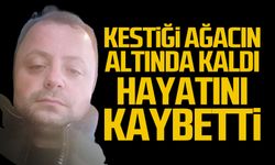 Kestiği ağacın altında kaldı Aykut Aydoğan hayatını kaybetti