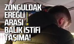 Zonguldak-Ereğli arası balık istifi yolcu taşıma!