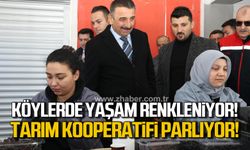 Devrek köylerinde yaşam renkleniyor! Tarım Kooperatifi parlıyor!