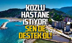 Kozlu hastane istiyor! İmza at, sen de destek ol!