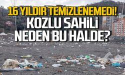 Zonguldak'ın en güzel noktalarından biri. 16 yıldır neden temizlenemedi?