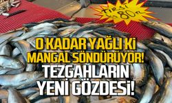 O kadar yağlı ki mangal söndürüyor! Tezgahların yeni gözdesi "Tırsi"