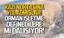 Kazı alanına yol açmışlar! Orman işletme definecilere mi çalışıyor?