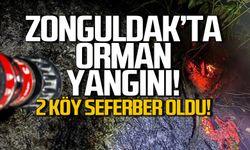 Zonguldak'ta orman yangını! 2 köy seferber oldu!