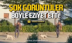 Bartın'da şok görüntüler! Güvercine böyle eziyet etti!