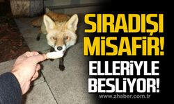 TTK misafirhanesinde sıradışı "Misafir"!