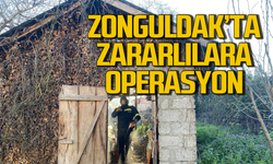 Zonguldak’ta zararlılara operasyon!