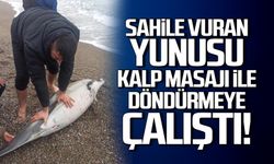 Sahile vuran yunusu kalp masajı ile döndürmeye çalıştı!