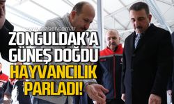 GES Projesiyle Zonguldak'ta hayvancılık sektörü canlanıyor!