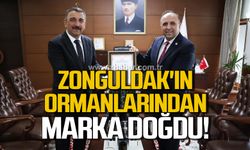 Zonguldak'ta doğal kozmetik markası doğdu!