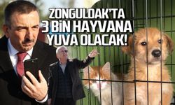 Zonguldak’ta 3 bin hayvan kapasiteli barınak yapılacak.