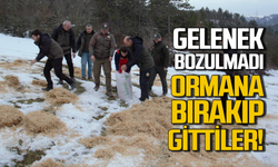 Gelenek bozulmadı: Ormana bırakıp gittiler!