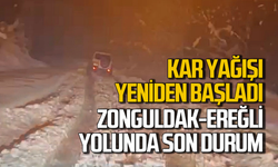 Zonguldak'ta kar yağışı yeniden başladı!