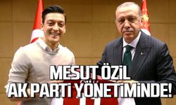 Mesut Özil AK Parti'nin MKYK listesinde!