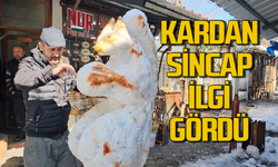 Kardan sincabı görenleri hayran kaldı