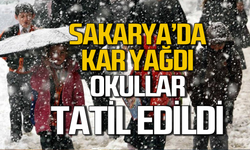 Kar yağışı başladı! Okullar tatil edildi