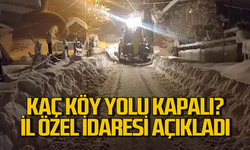 Zonguldak’ta kaç köy yolu kapalı? İl Özel İdare açıkladı