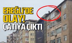 Ereğli'de olay! Çatıya çıkarak kendini atmak istedi!