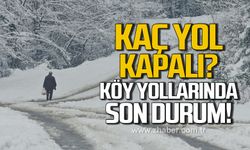 Zonguldak'ta kaç yol kapalı? Köy yollarında son durum!