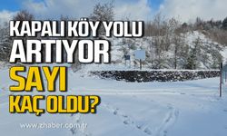 Kapalı köy yolu artıyor! Sayı kaç oldu?