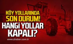 Zonguldak'ta köy yollarında son durum! Hangi yollar kapalı?