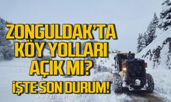 Zonguldak'ta kapalı köy yolu kaldı mı? Son durum!