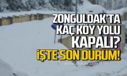 Zonguldak'ta kaç köy yolu kapalı? İşte son durum!