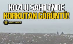 Kozlu Sahili'nde korkutan görüntü!