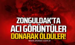 Zonguldak’ta acı görüntüler! Donarak öldüler!